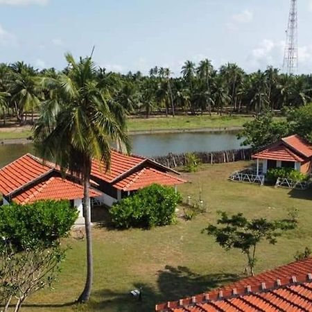 Windy Beach Cabanas Kalpitiya Exterior foto